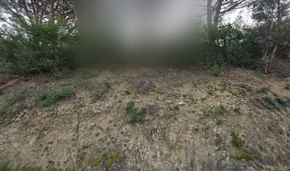 Assurance Juris Conseil, Agence d'Assurances à Tanneron