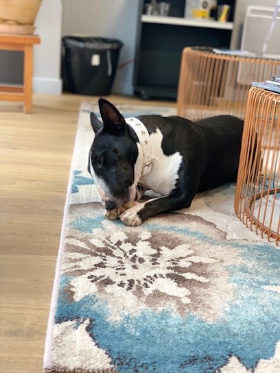 AXA Assurance et Banque Nathalie Mialon, Agence d'Assurances à Vichy