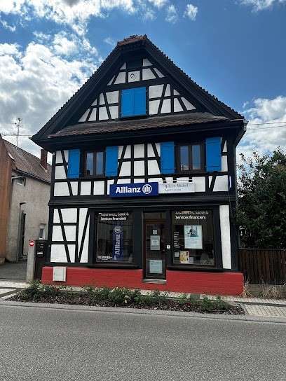 Allianz Assurance HOERDT - Nelson MICHEL, Agence d'Assurances à Hoerdt