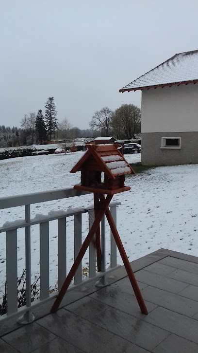 Perrot Virgile, Agence d'Assurances au Russey