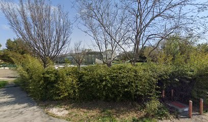 Swiss Life, Lucas Cogotti, agent général d'assurances, Agence d'Assurances à La Seyne-sur-Mer