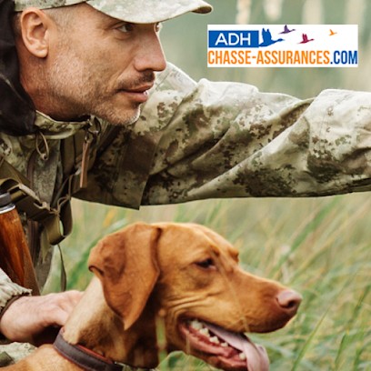 Chasse-assurances.com, Agence d'Assurances à Marquette-lez-Lille