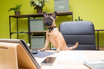 ASSURBUSTER, Agence d'Assurances à Saint-Apollinaire