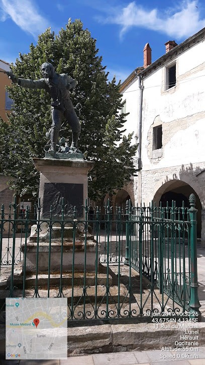 MAAF Assurances LUNEL, Agence d'Assurances à Lunel