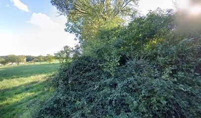 Centre Maconnais d'Expertise René Mazuy, Agence d'Assurances à Hurigny