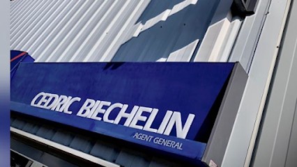 AXA Assurance et Banque Eirl Biechelin Cedric, Agence d'Assurances à Sierentz