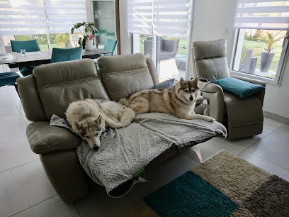 Bulle Bleue, Agence d'Assurances à Villeneuve-d'Ascq