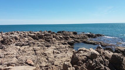Autonome de solidarite Laique, Agence d'Assurances à Sète