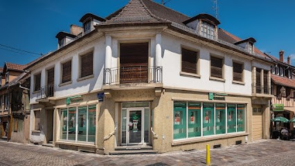 Agence Groupama Erstein, Agence d'Assurances à Erstein