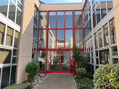 Allianz Patrimoine Et Protection Sociale Toulouse Lespinet Expert - De Guzman & Di Carlo Assurance à Toulouse