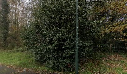 Integra Courtage Nantes, Agence d'Assurances à Orvault