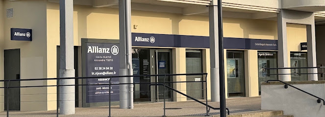 Allianz Assurance Saint Jean De La Ruelle - C. Blatge & A. Tertis Assurance à Saint-Jean-de-la-Ruelle