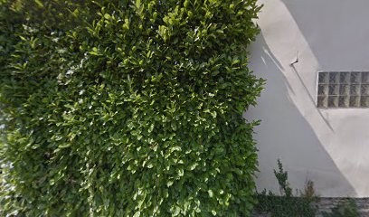 AXA Prévoyance & Patrimoine Eirl Giachetti Herve, Agence d'Assurances à Saint-Agnin-sur-Bion