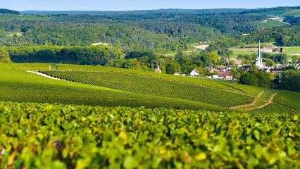 Axa Assurance Et Banque Barbier - De La Graviere Assurance à Dijon