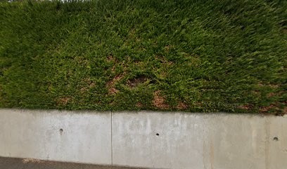 Assurance Generali - Volvic, Agence d'Assurances à Volvic