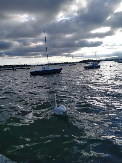Auto Fun Tour, Agence d'Assurances à Meyzieu