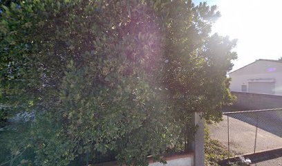 CABINET JEAN DUMONS, Agence d'Assurances à L'Union