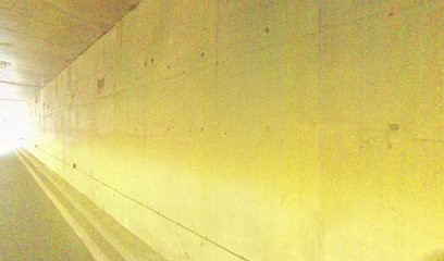 Vie Plus, Agence d'Assurances à Puteaux