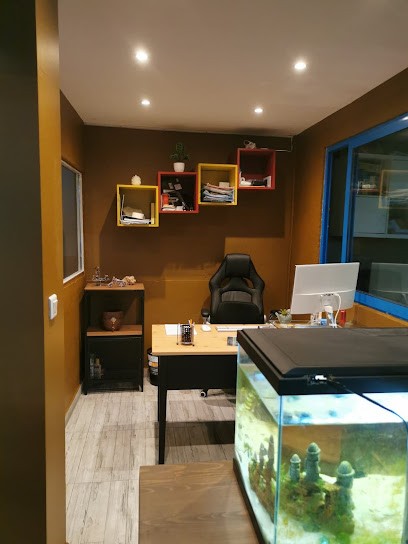 NEOCONSILIUM FRANCE - ASSURANCE TEMPORAIRE AUTO À MARSEILLE, Agence d'Assurances à Marseille 02