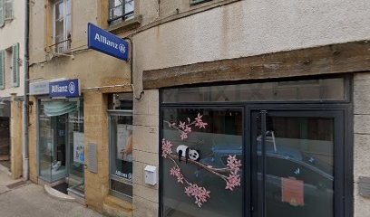 Allianz Assurance MARCIGNY-GUEUGNON - Joelle MICHEL, Agence d'Assurances à Marcigny