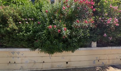 Ruiz Philippe, Agence d'Assurances à Hyères